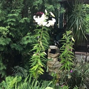 Meet your Posher, Greg